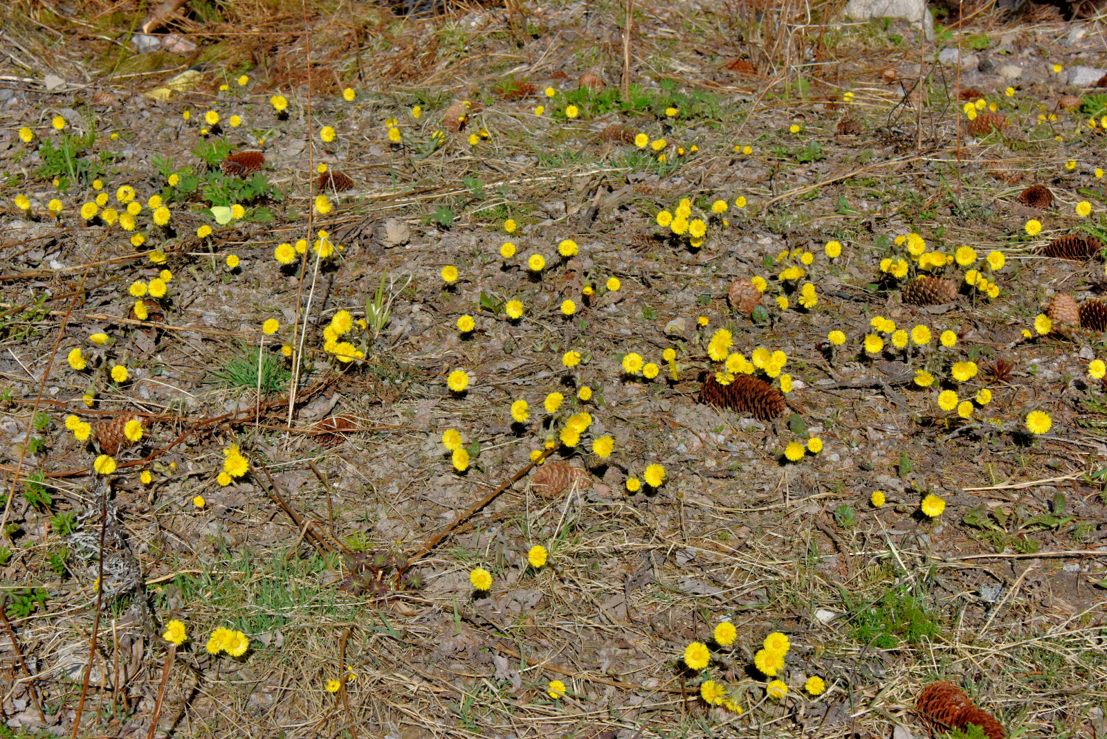 Valokuvaaja: Reijo Juurinen