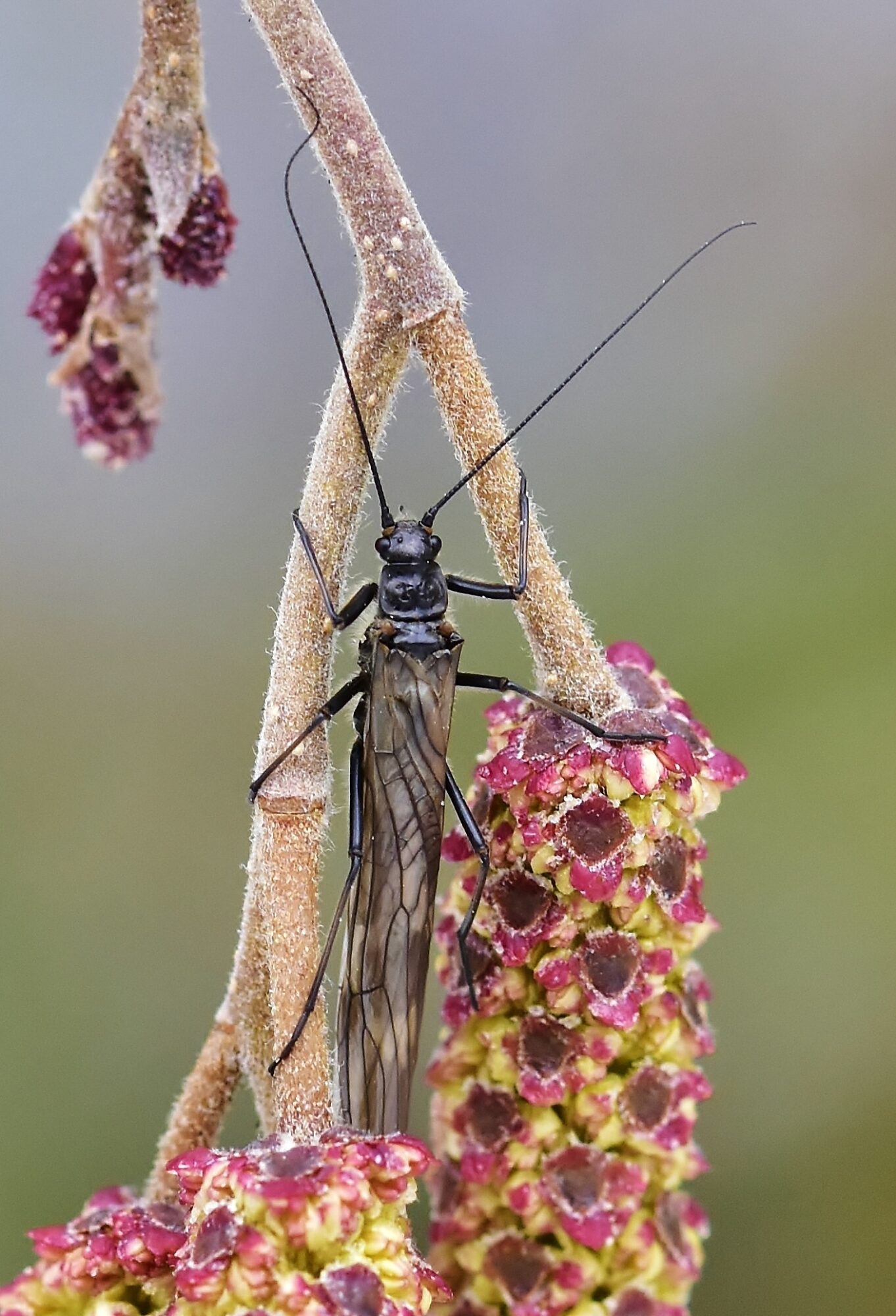 Valokuvaaja: Markku Pelkonen