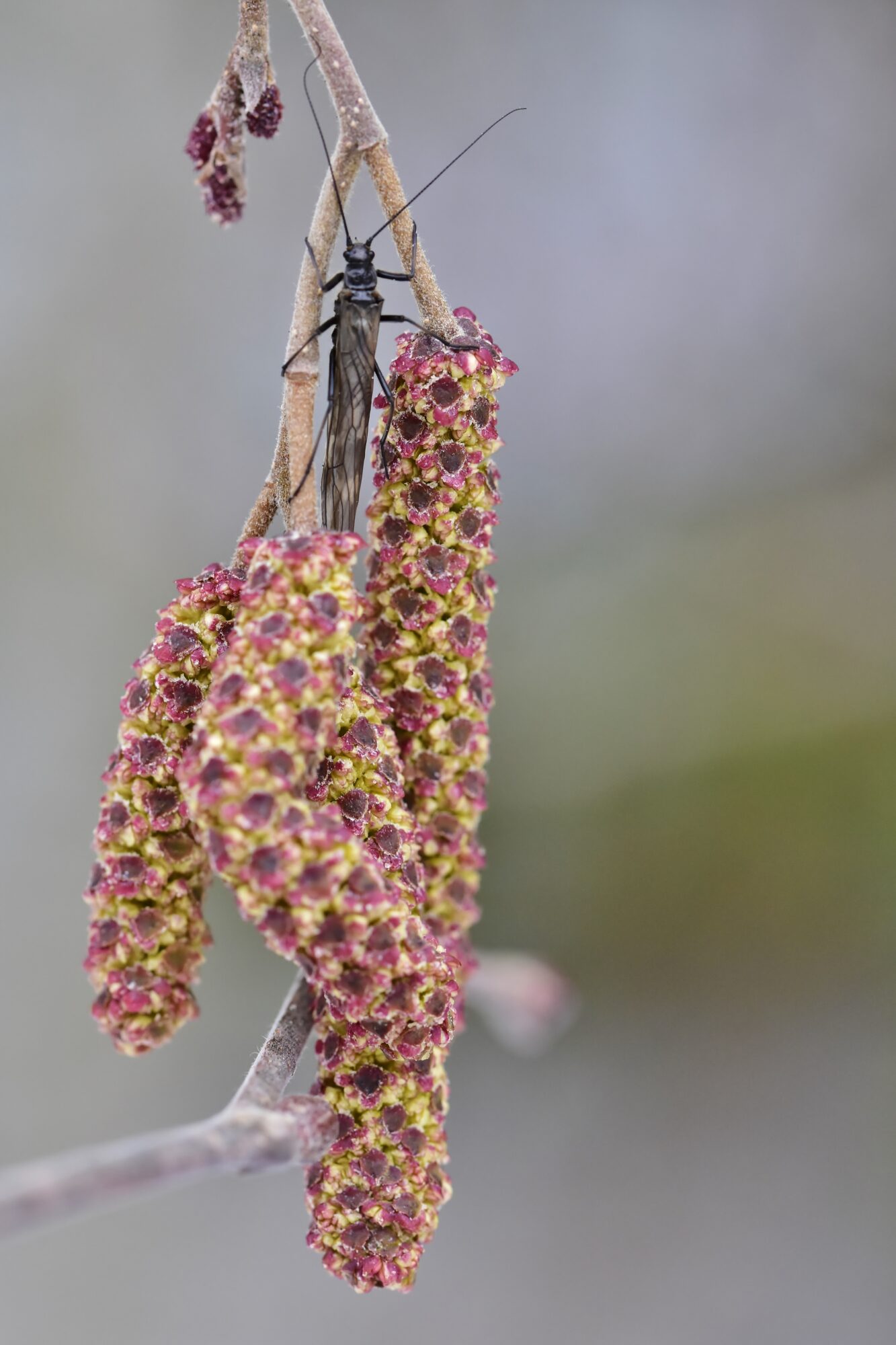 Valokuvaaja: Markku Pelkonen