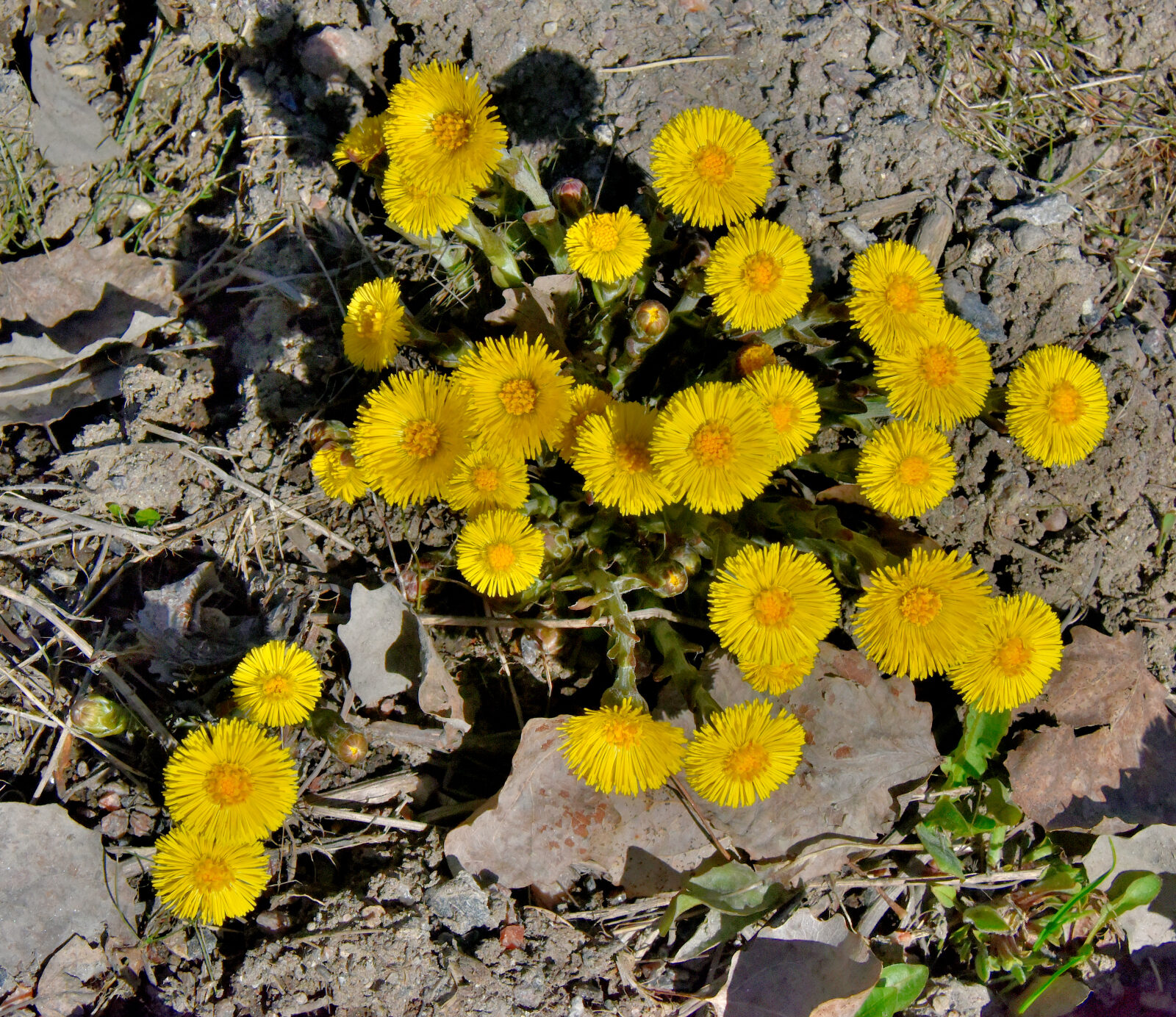 Valokuvaaja: Reijo Juurinen