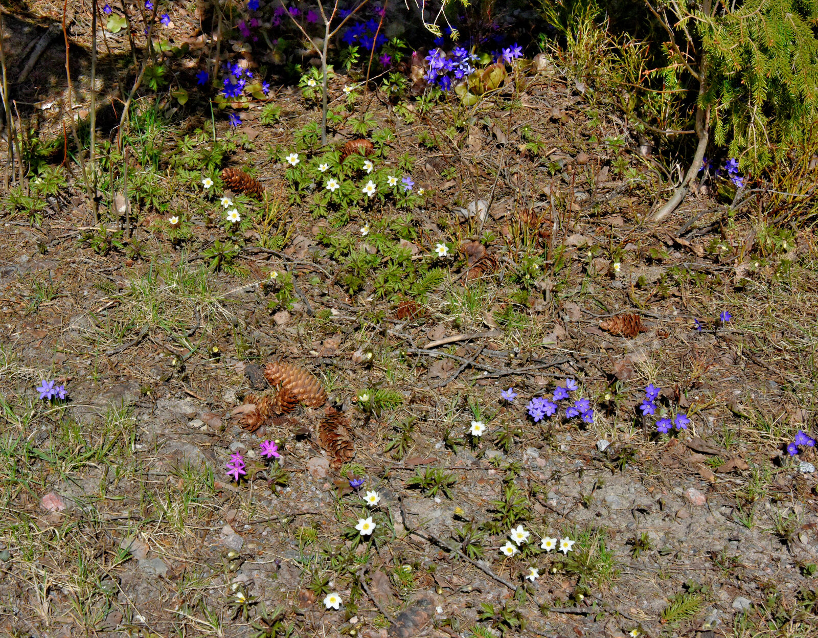 Valokuvaaja: Reijo Juurinen