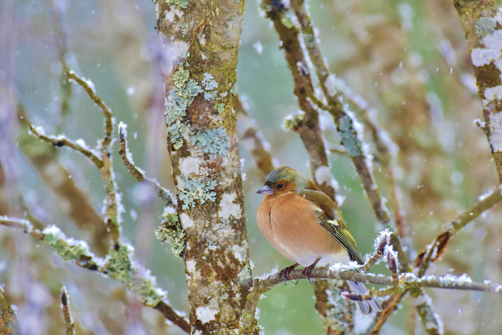 Valokuvaaja: Markku Pelkonen Valokuvaaja: Markku Pelkonen