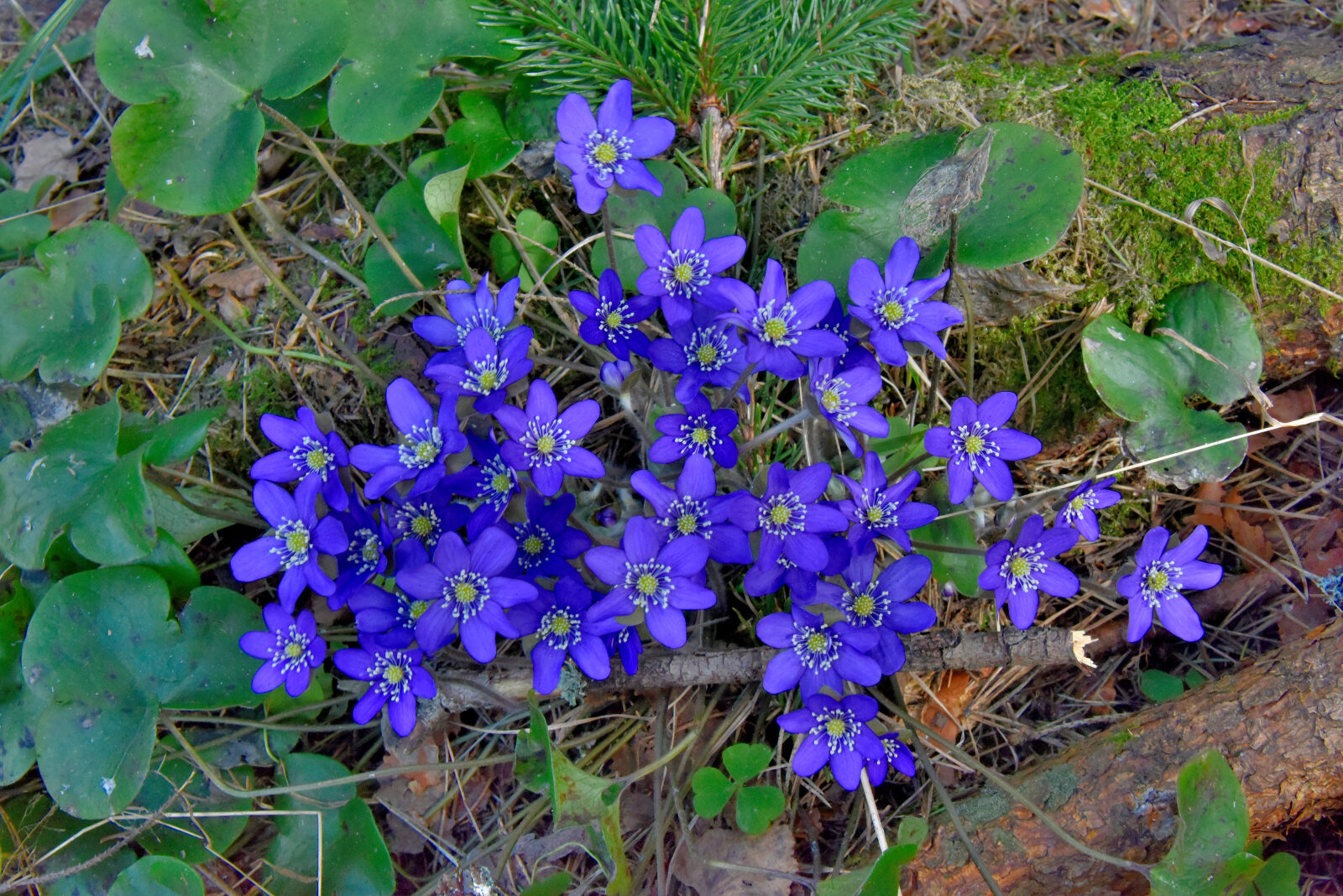 Valokuvaaja: Reijo Juurinen