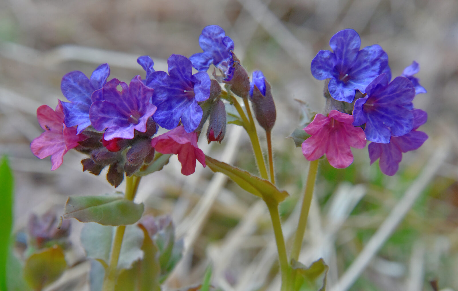 Valokuvaaja: Reijo Juurinen