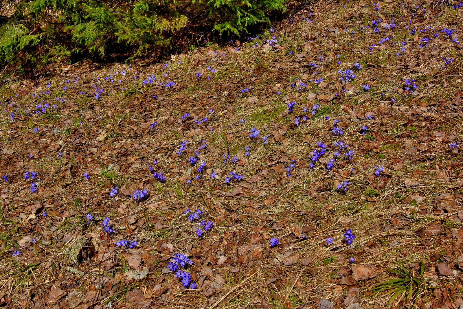 Valokuvaaja: Reijo Juurinen