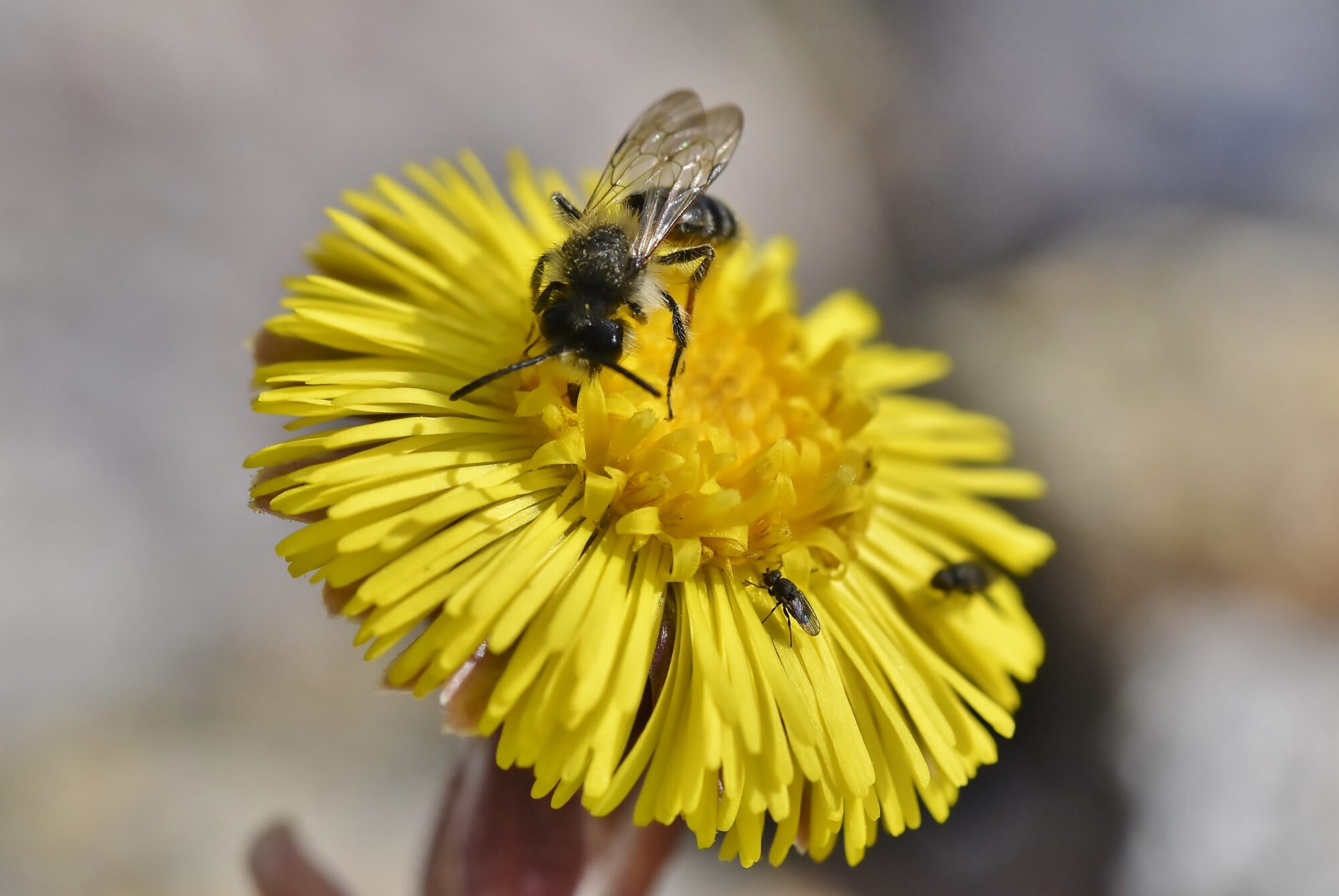 Valokuvaaja: Markku Pelkonen