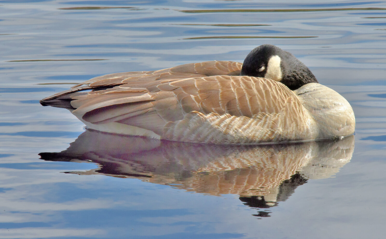 Valokuvaaja: Reijo Juurinen