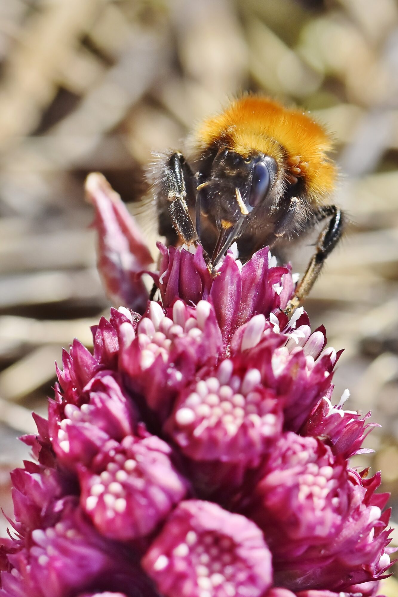 Valokuvaaja: Markku Pelkonen