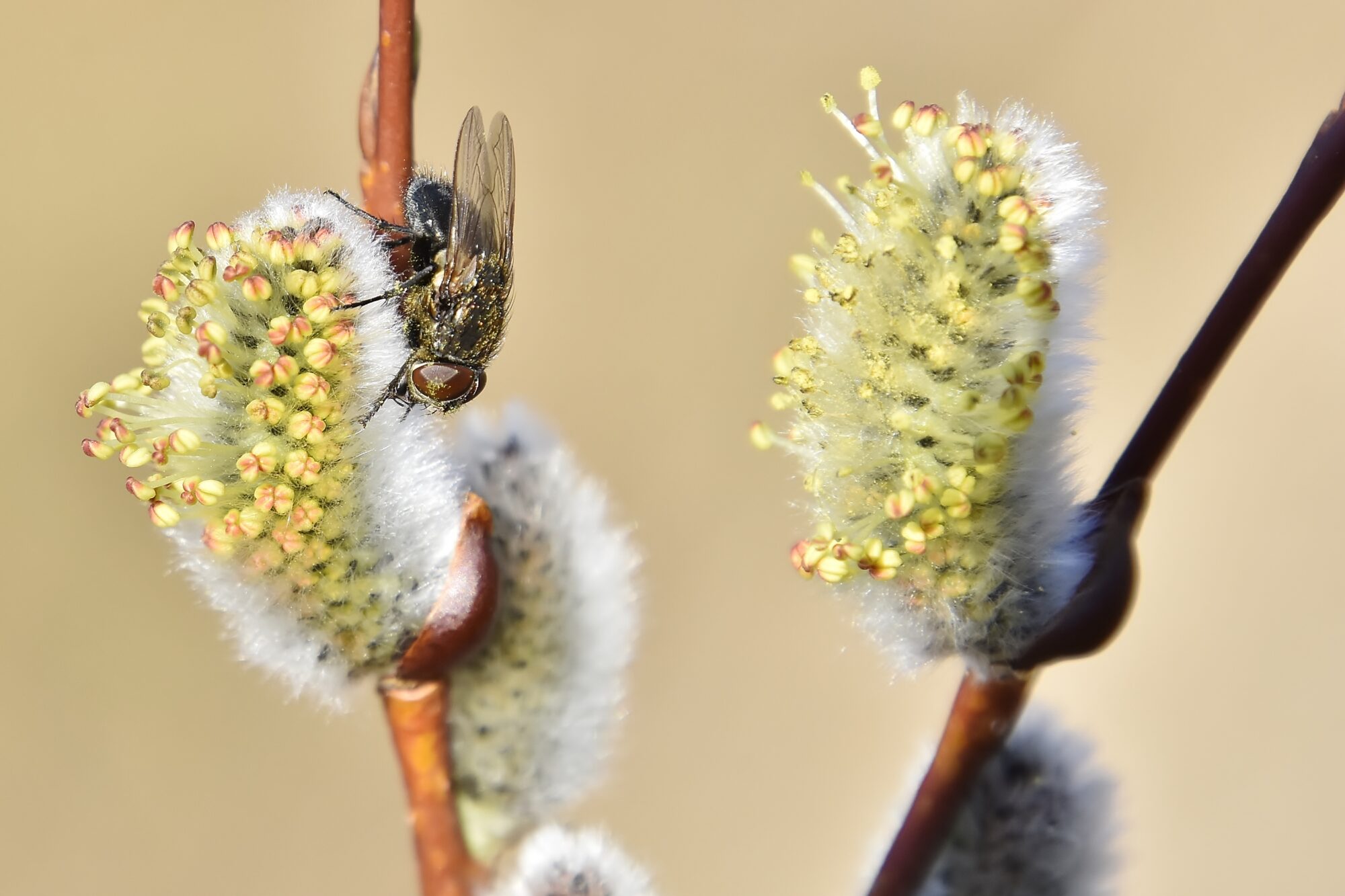 Valokuvaaja: Markku Pelkonen