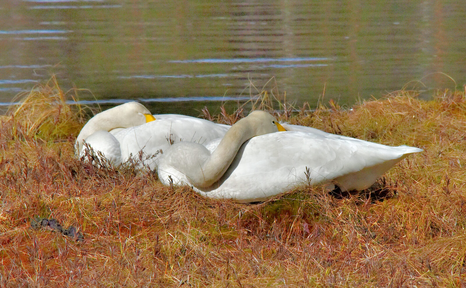 Valokuvaaja: Reijo Juurinen