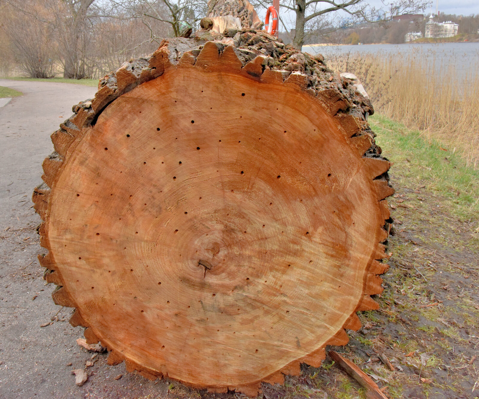 Valokuvaaja: Reijo Juurinen