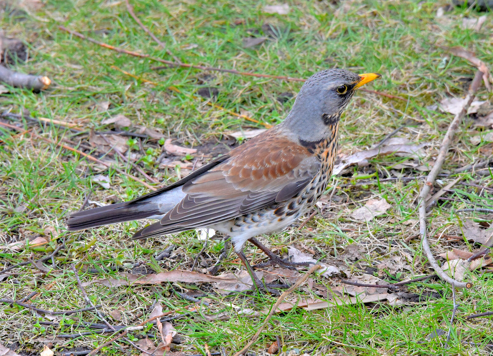 Valokuvaaja: Reijo Juurinen