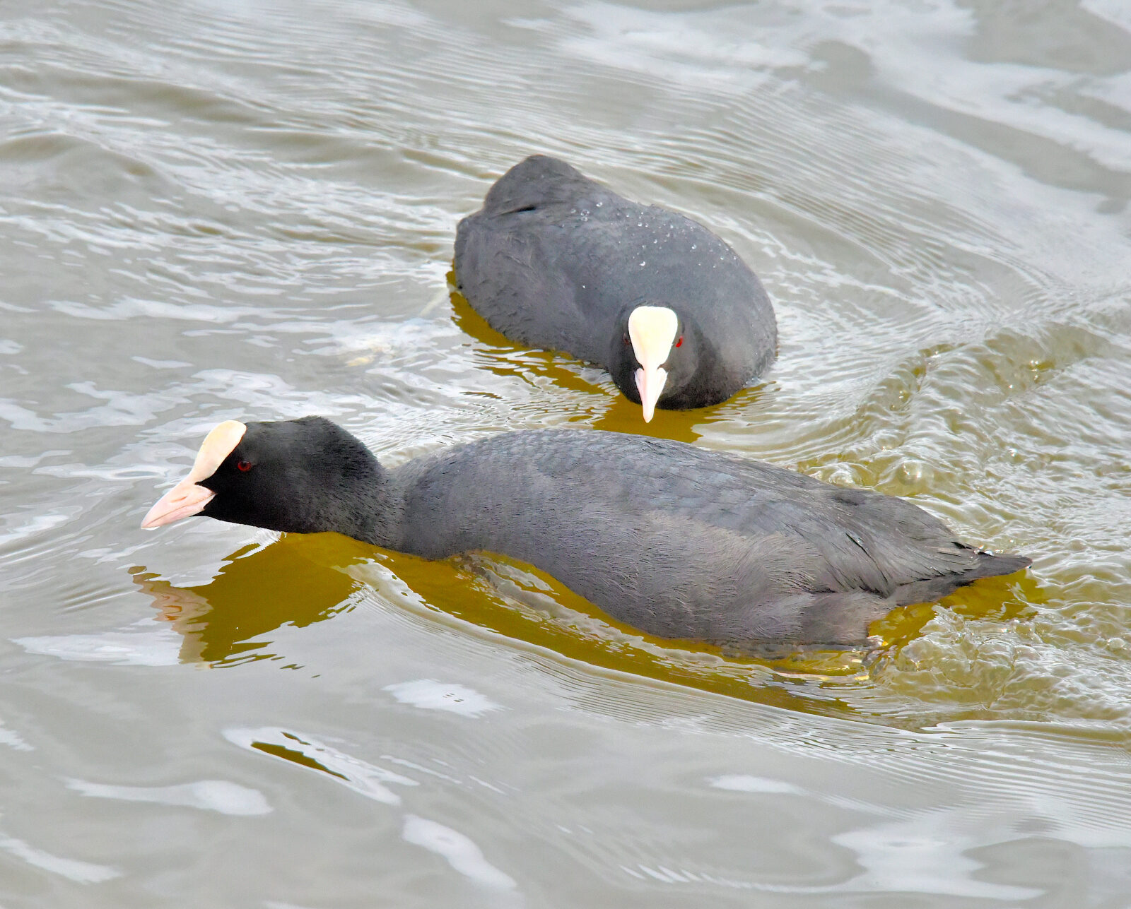 Valokuvaaja: Reijo Juurinen