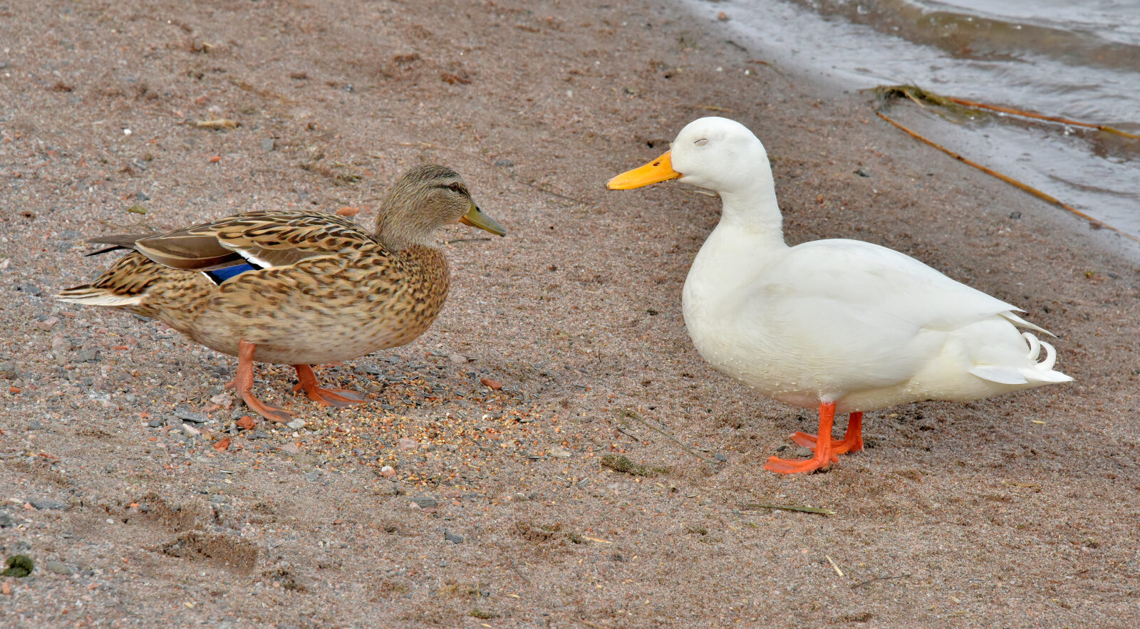 Valokuvaaja: Reijo Juurinen