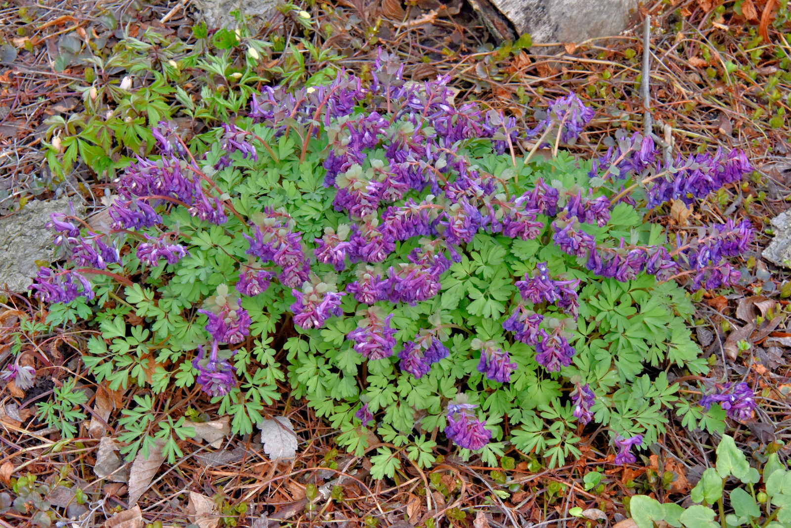 Valokuvaaja: Reijo Juurinen