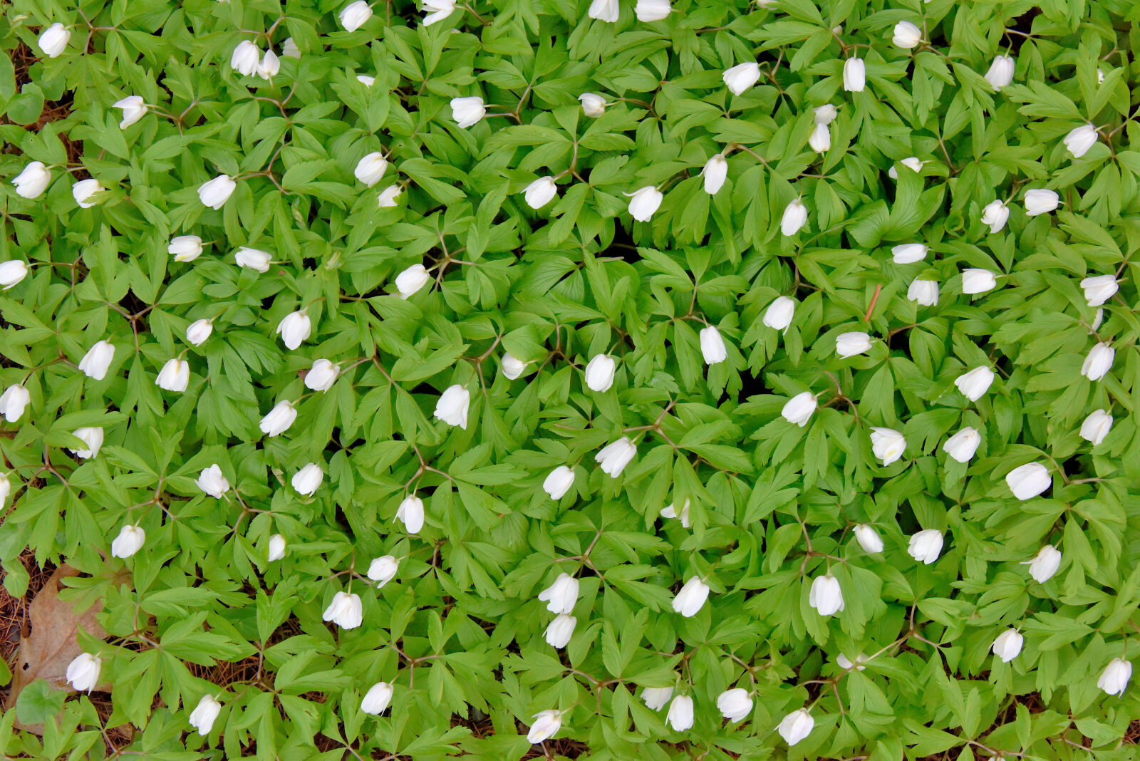 Valokuvaaja: Reijo Juurinen