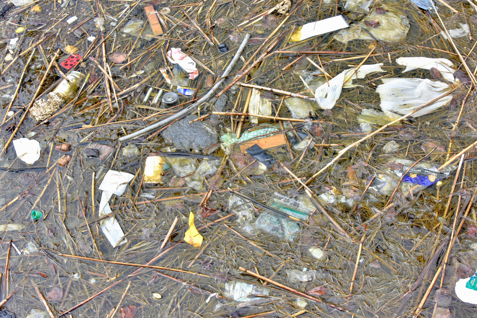 Valokuvaaja: Reijo Juurinen