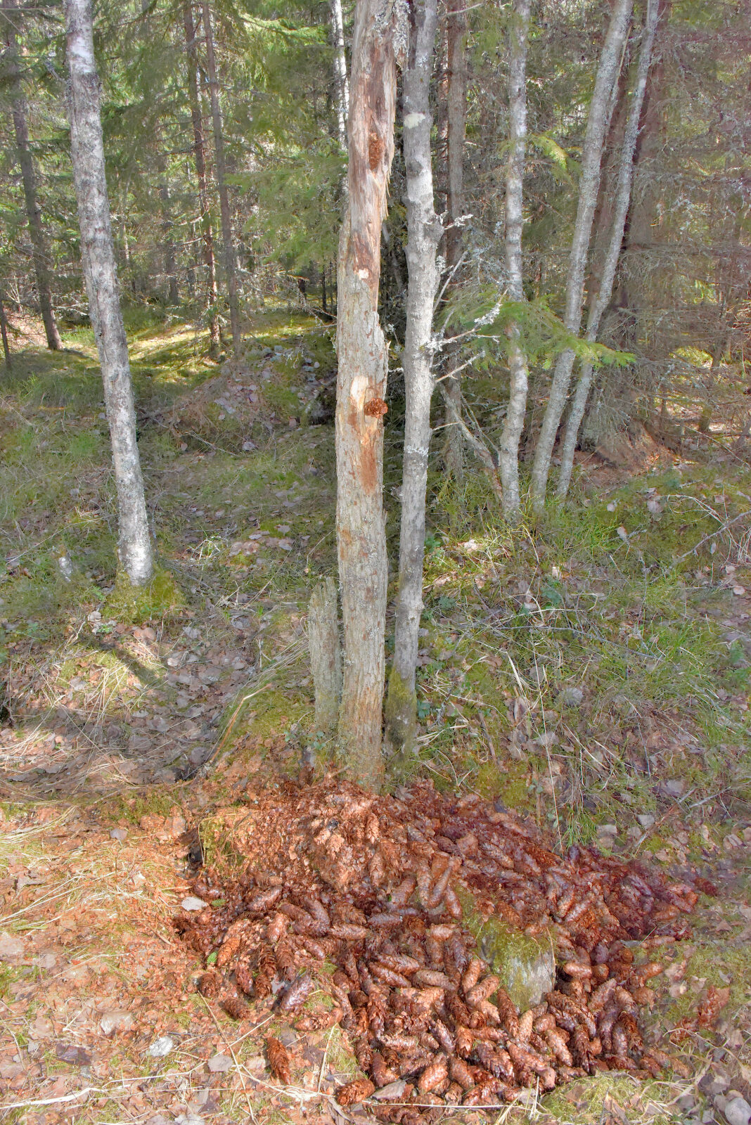 Valokuvaaja: Reijo Juurinen