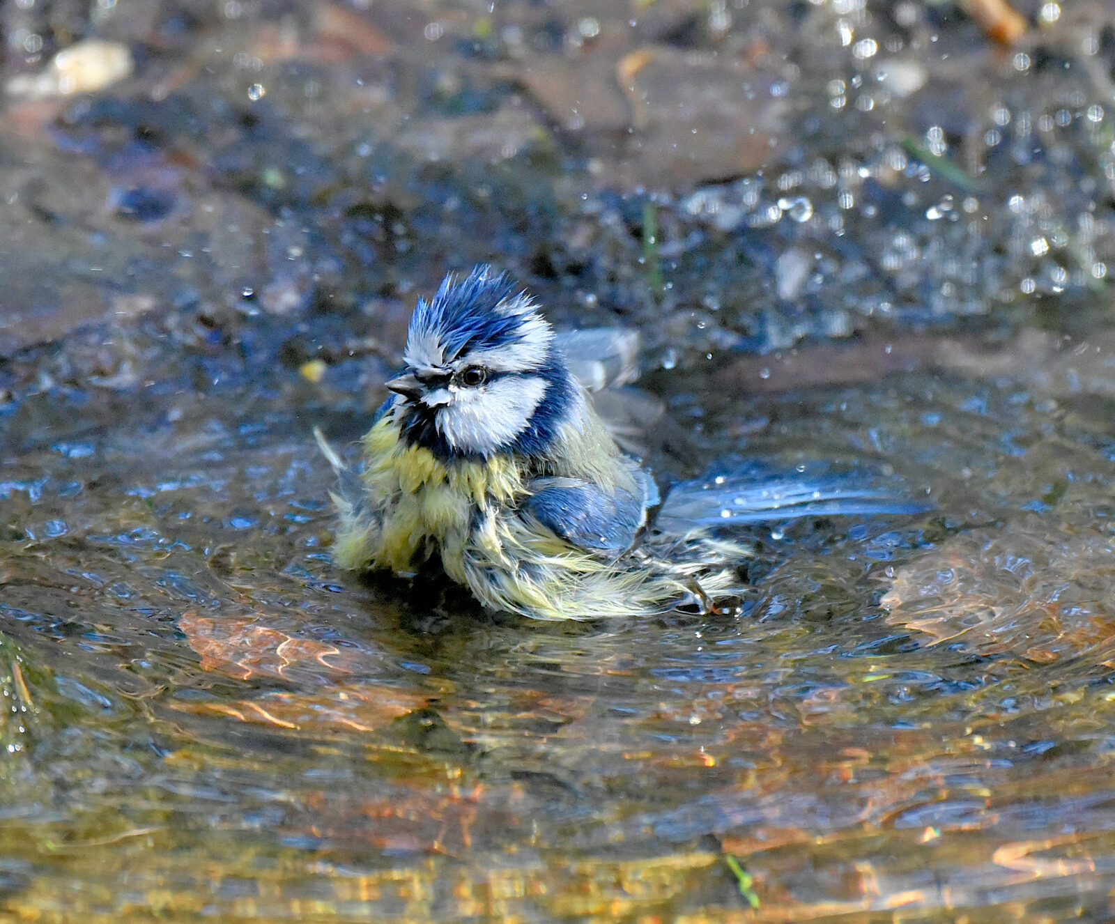 Valokuvaaja: Reijo Juurinen