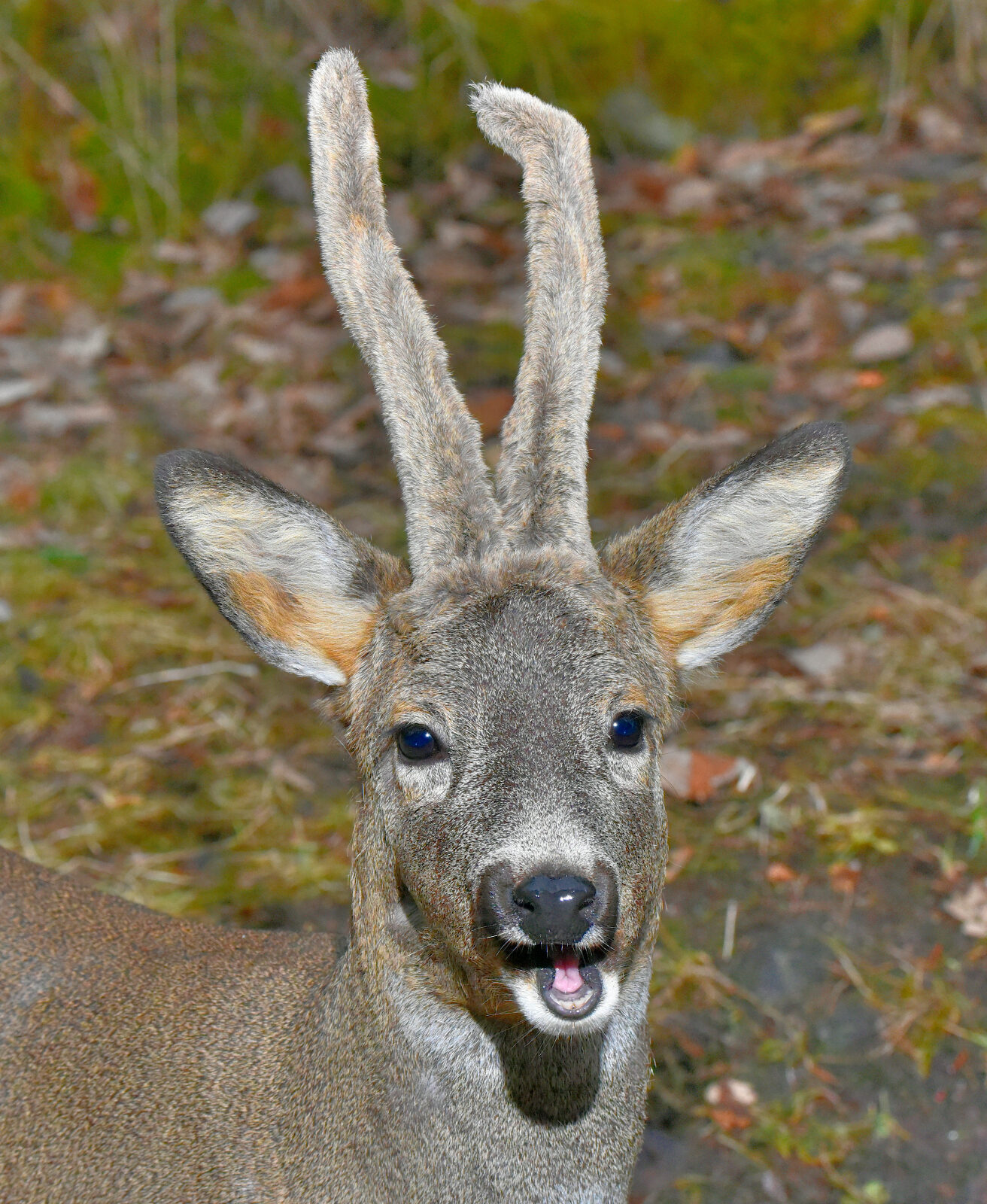 Valokuvaaja: Reijo Juurinen