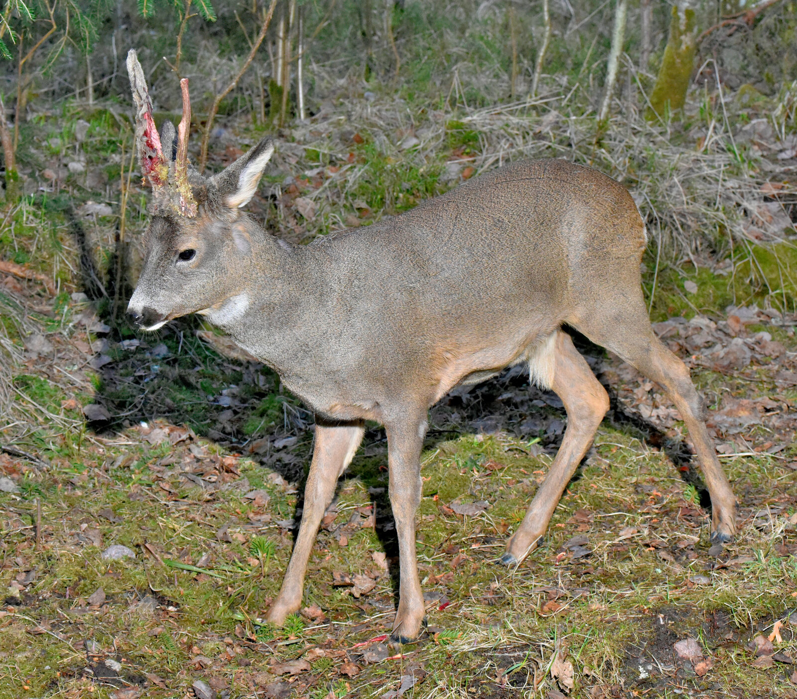 Valokuvaaja: Reijo Juurinen