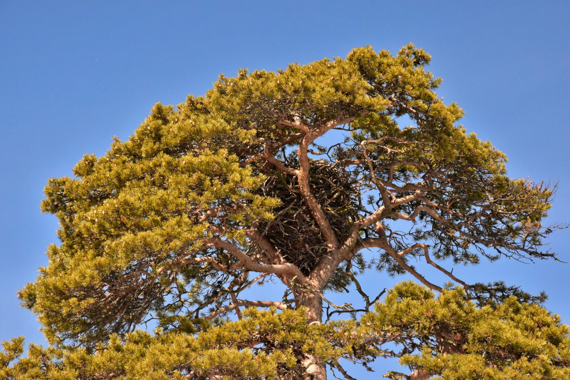 Valokuvaaja: Lahja Toivanen