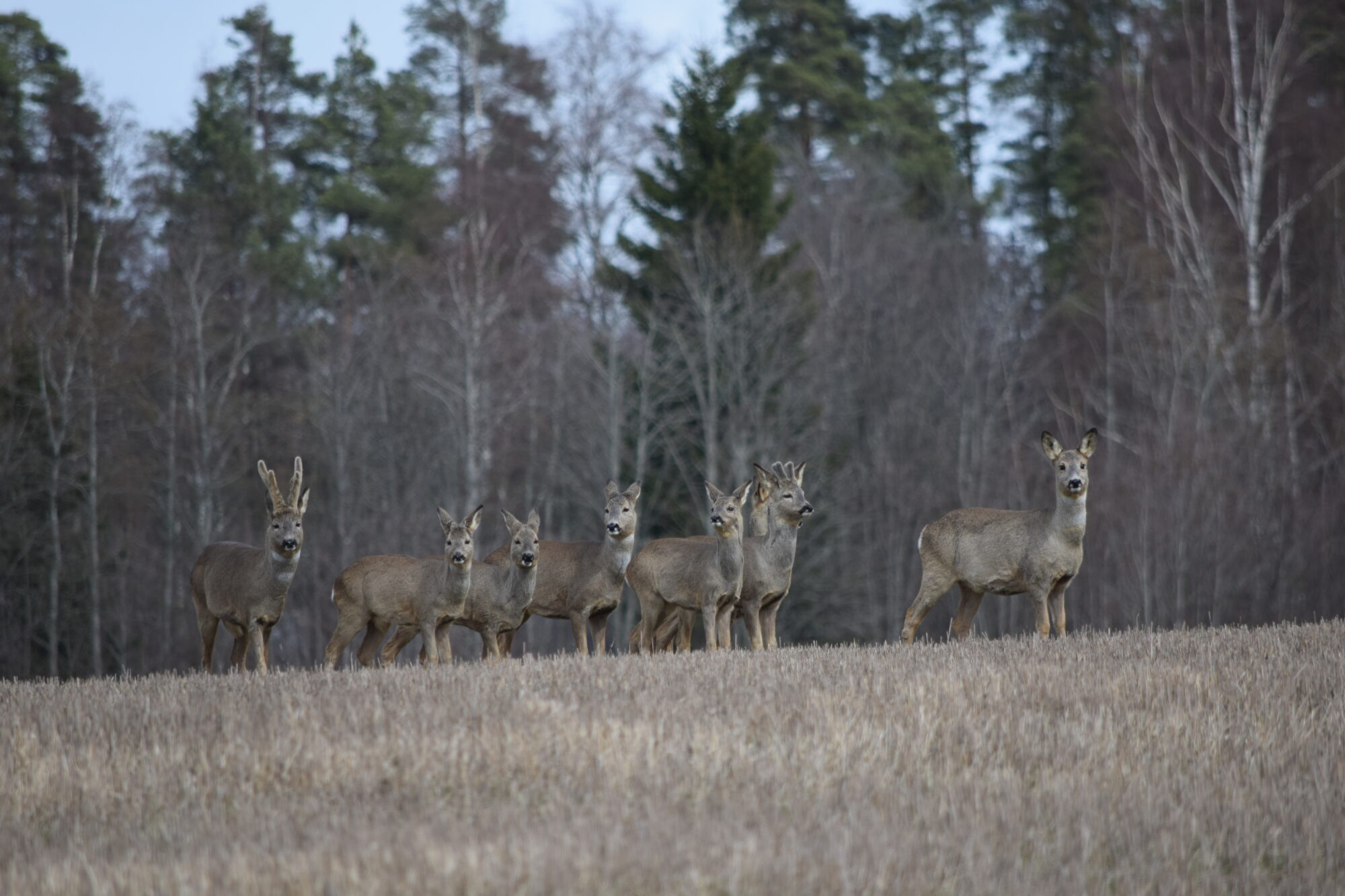 Valokuvaaja: Riitta  Marjamäki