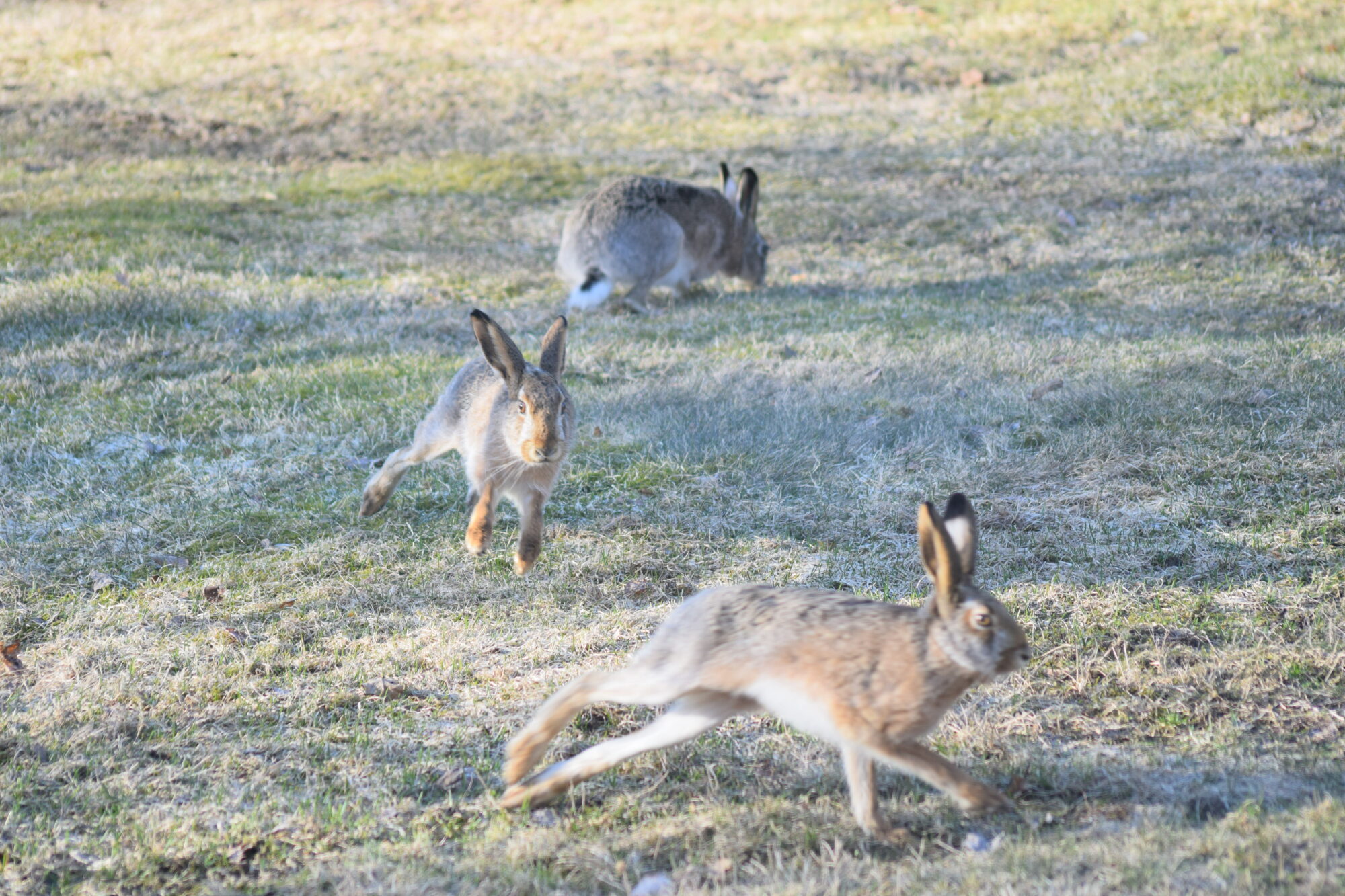 Valokuvaaja: Taija Kuokkanen