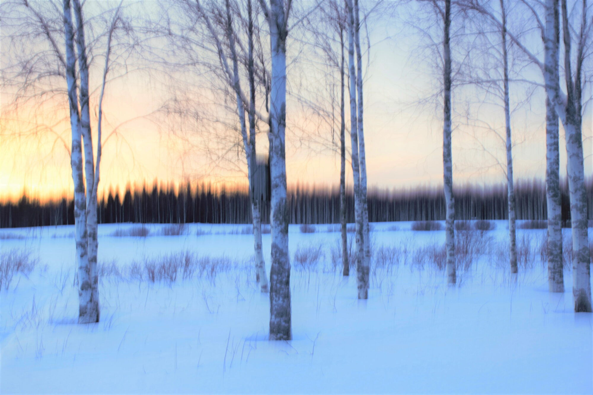 Valokuvaaja: Leena Rissanen