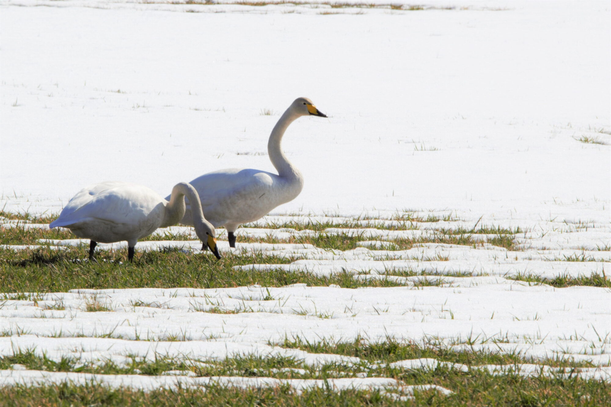 Valokuvaaja: Leena Rissanen