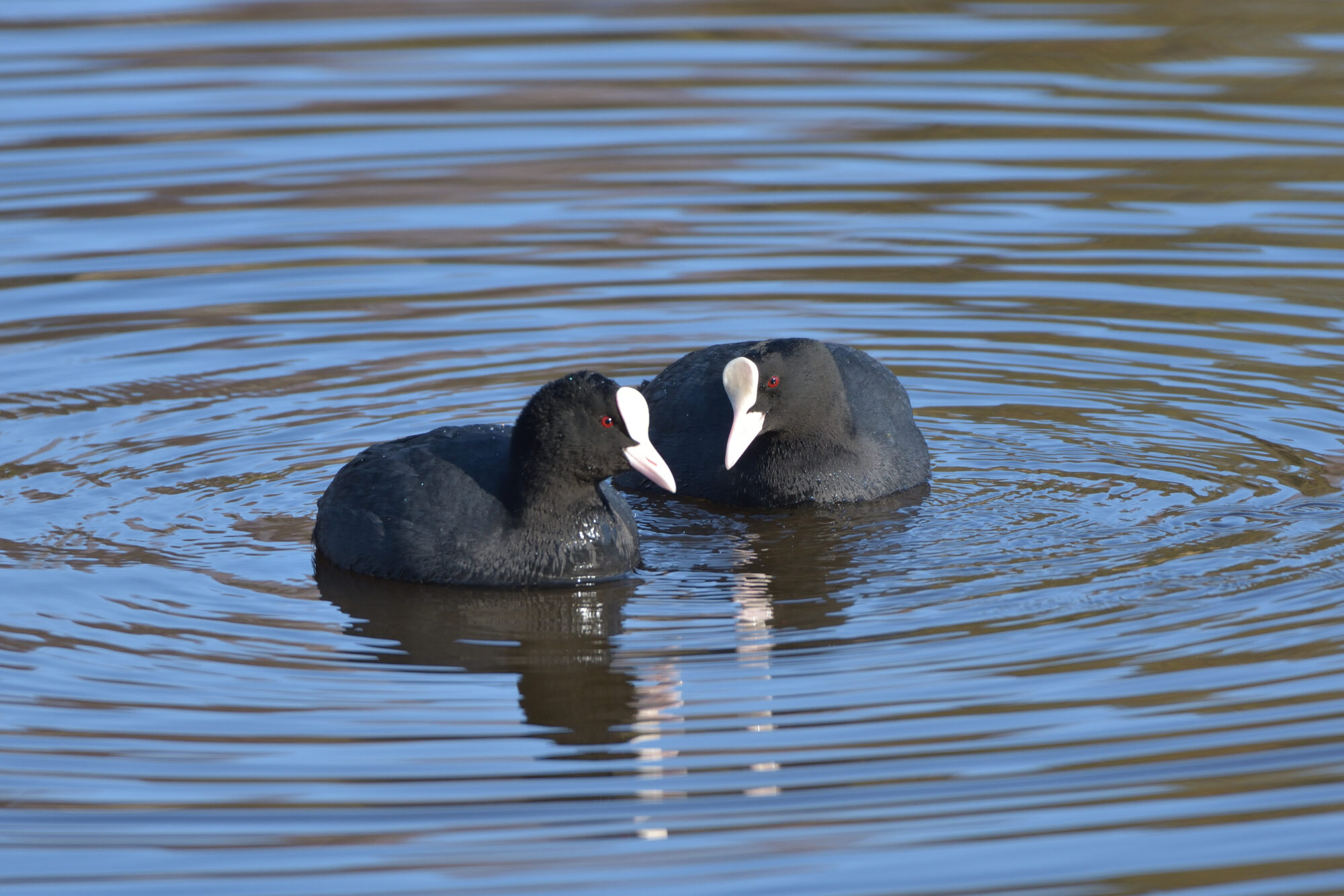 Valokuvaaja: Asko Heikkinen