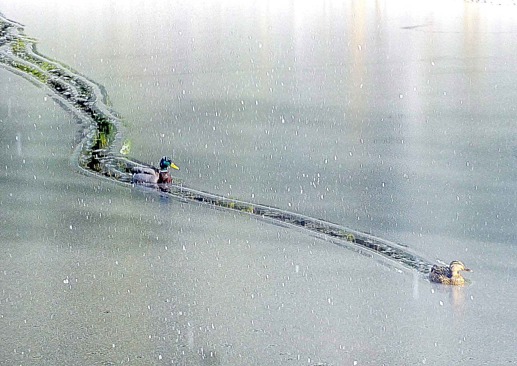 Valokuvaaja: Hannu Rasiranta