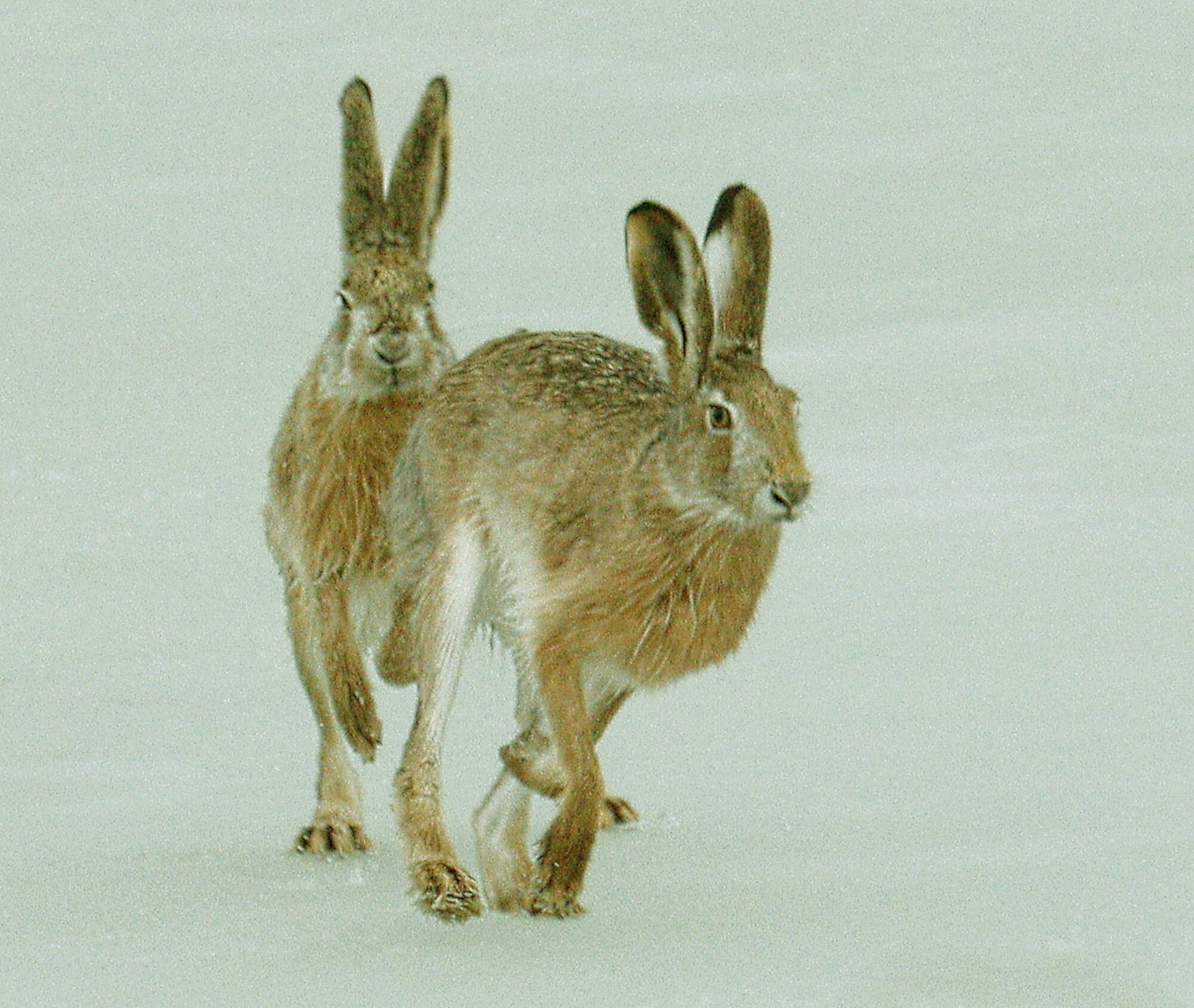 Valokuvaaja: Ritva Nieminen