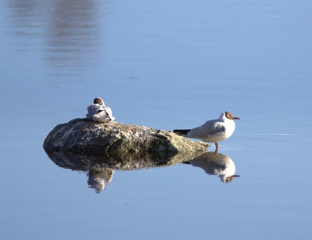Valokuvaaja: Tapio Keinonen