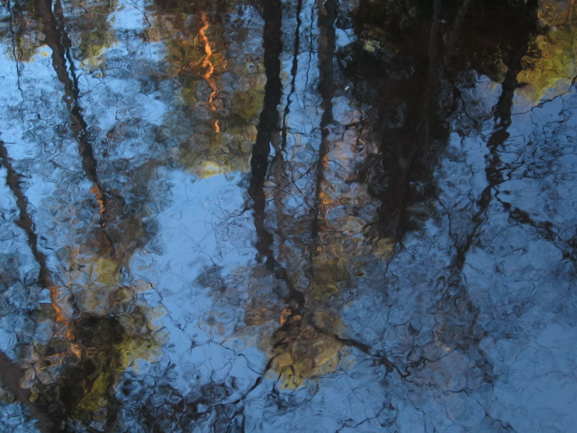 Valokuvaaja: Marita Portin