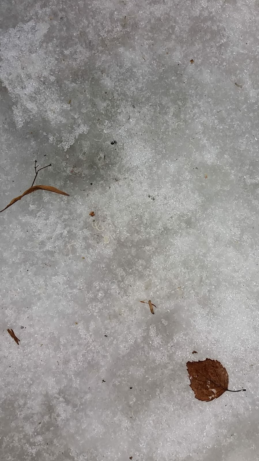 Valokuvaaja: Nina Tukiainen