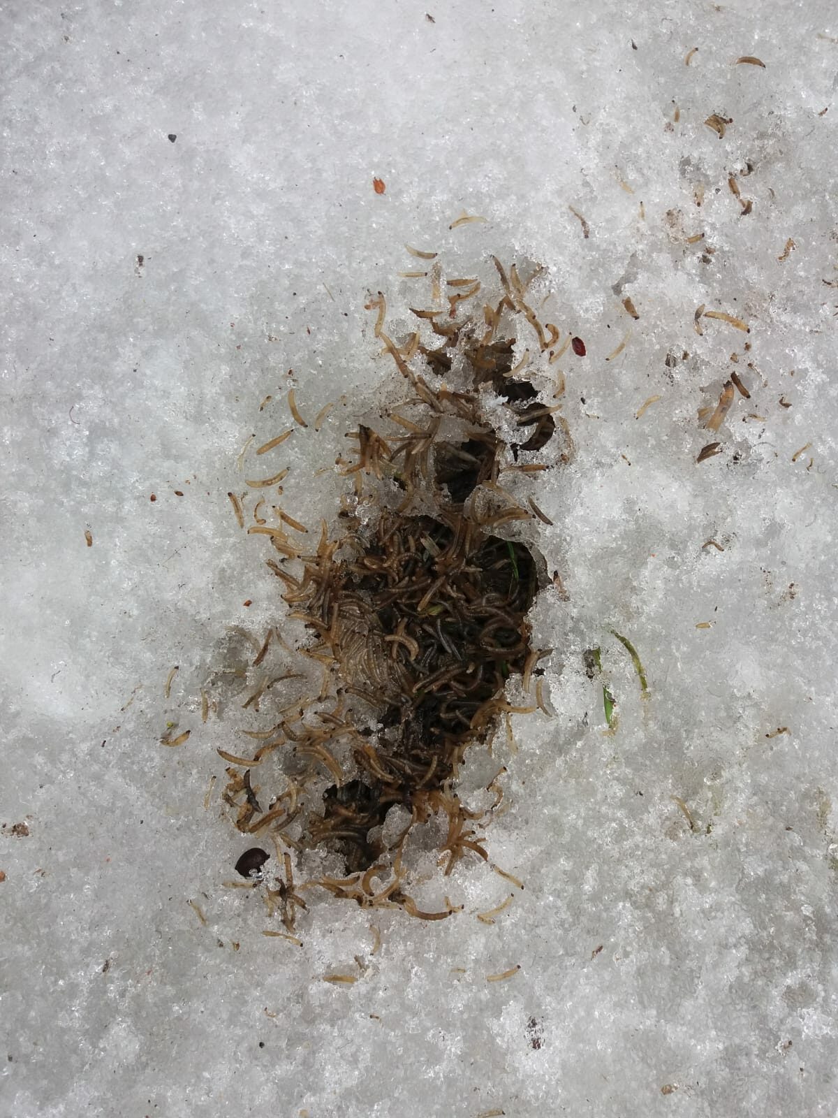 Valokuvaaja: Nina Tukiainen