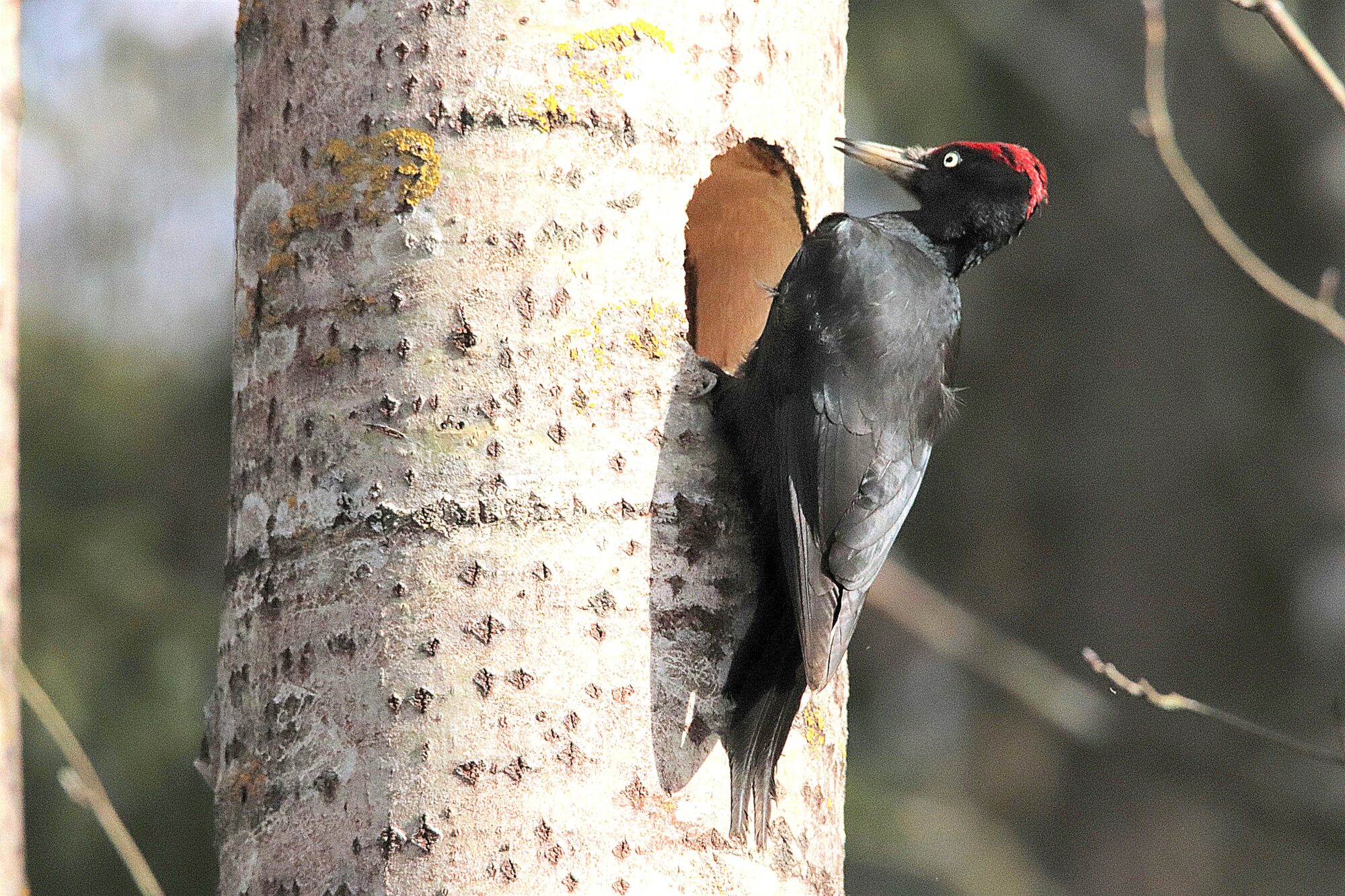 Valokuvaaja: Irja Lehtinen