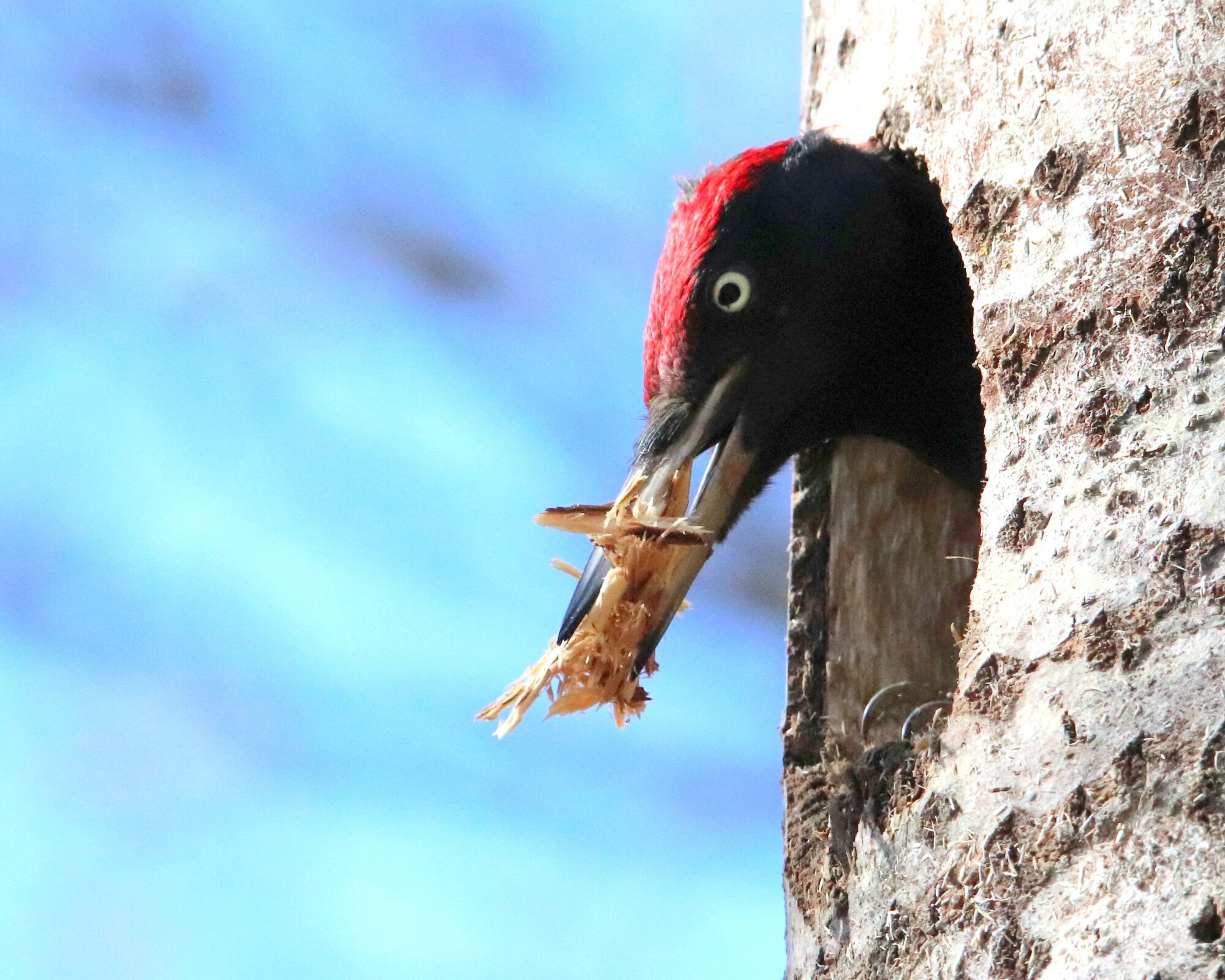 Valokuvaaja: Irja Lehtinen