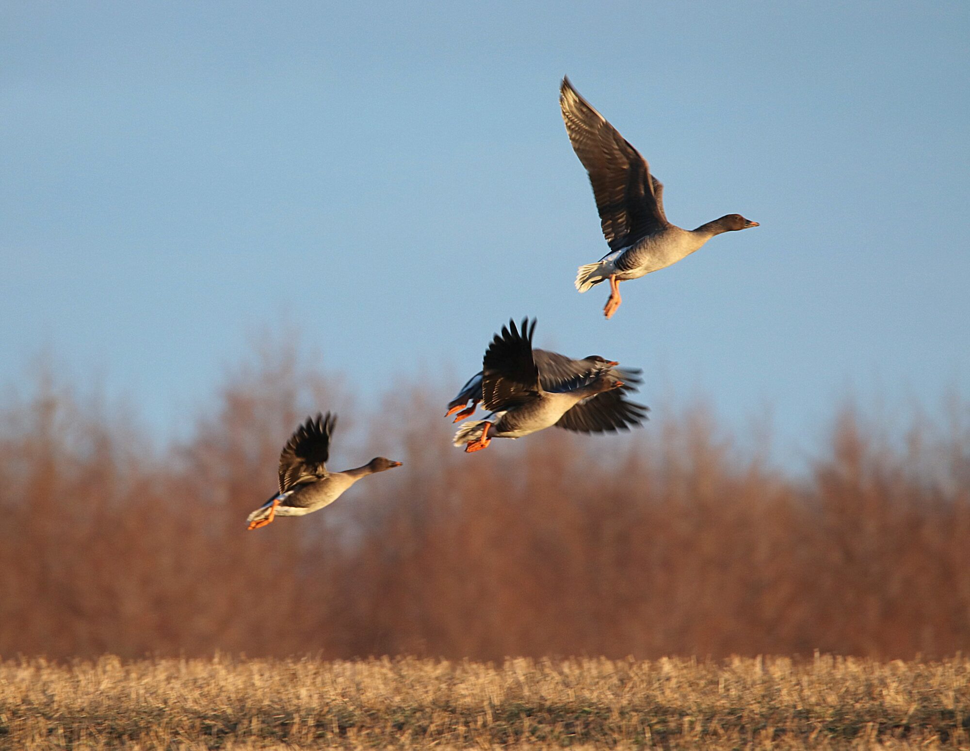 Valokuvaaja: Irja Lehtinen