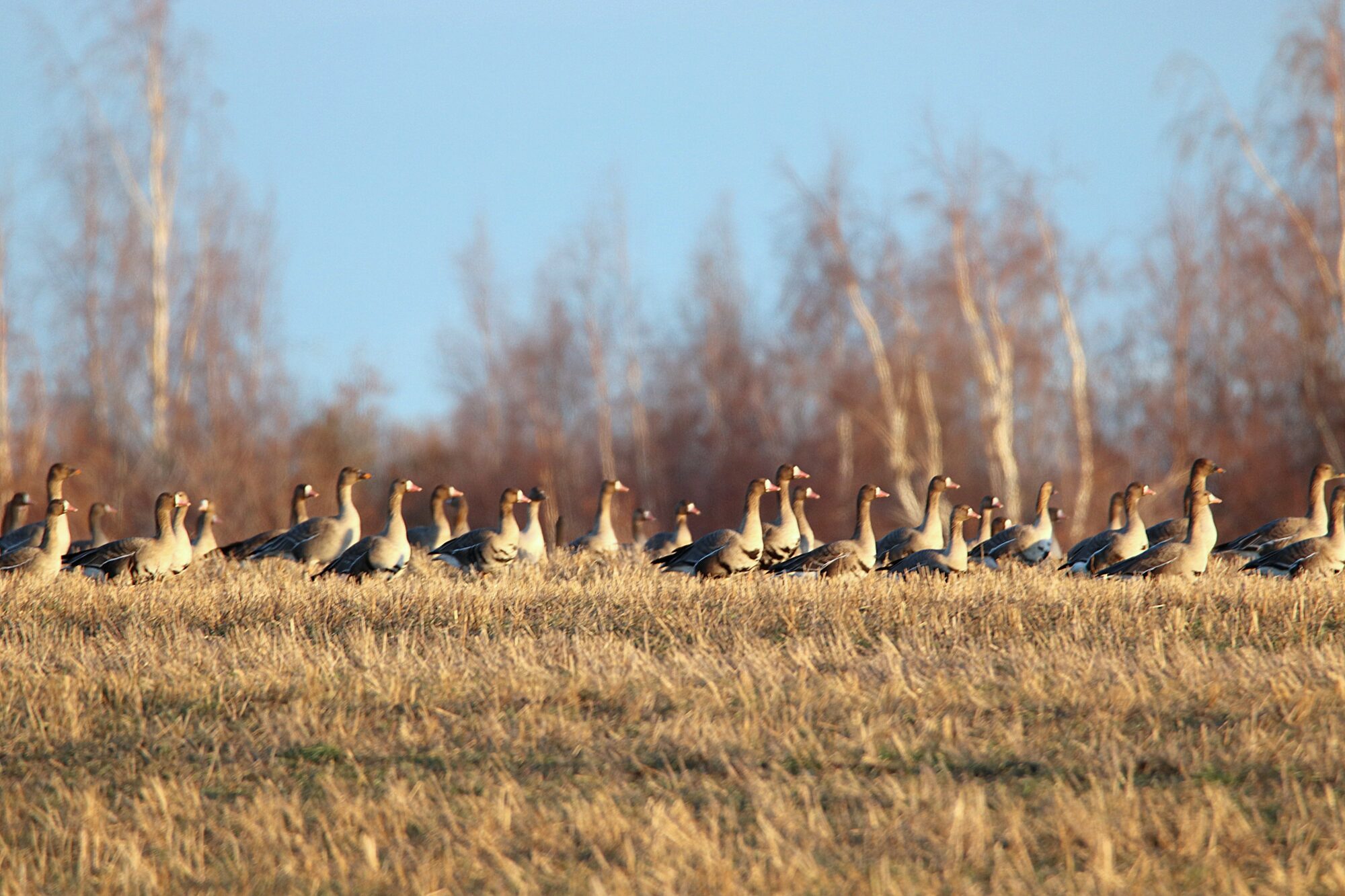 Valokuvaaja: Irja Lehtinen