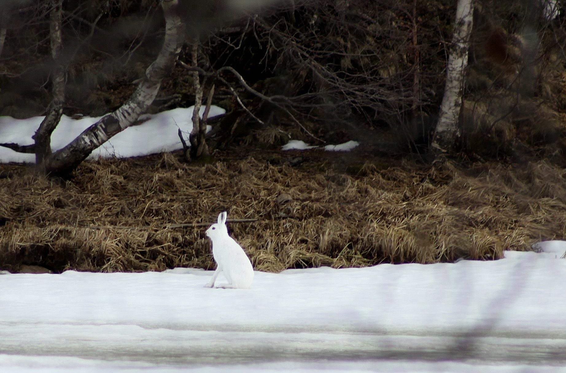 Valokuvaaja: Pirkko Siukonen