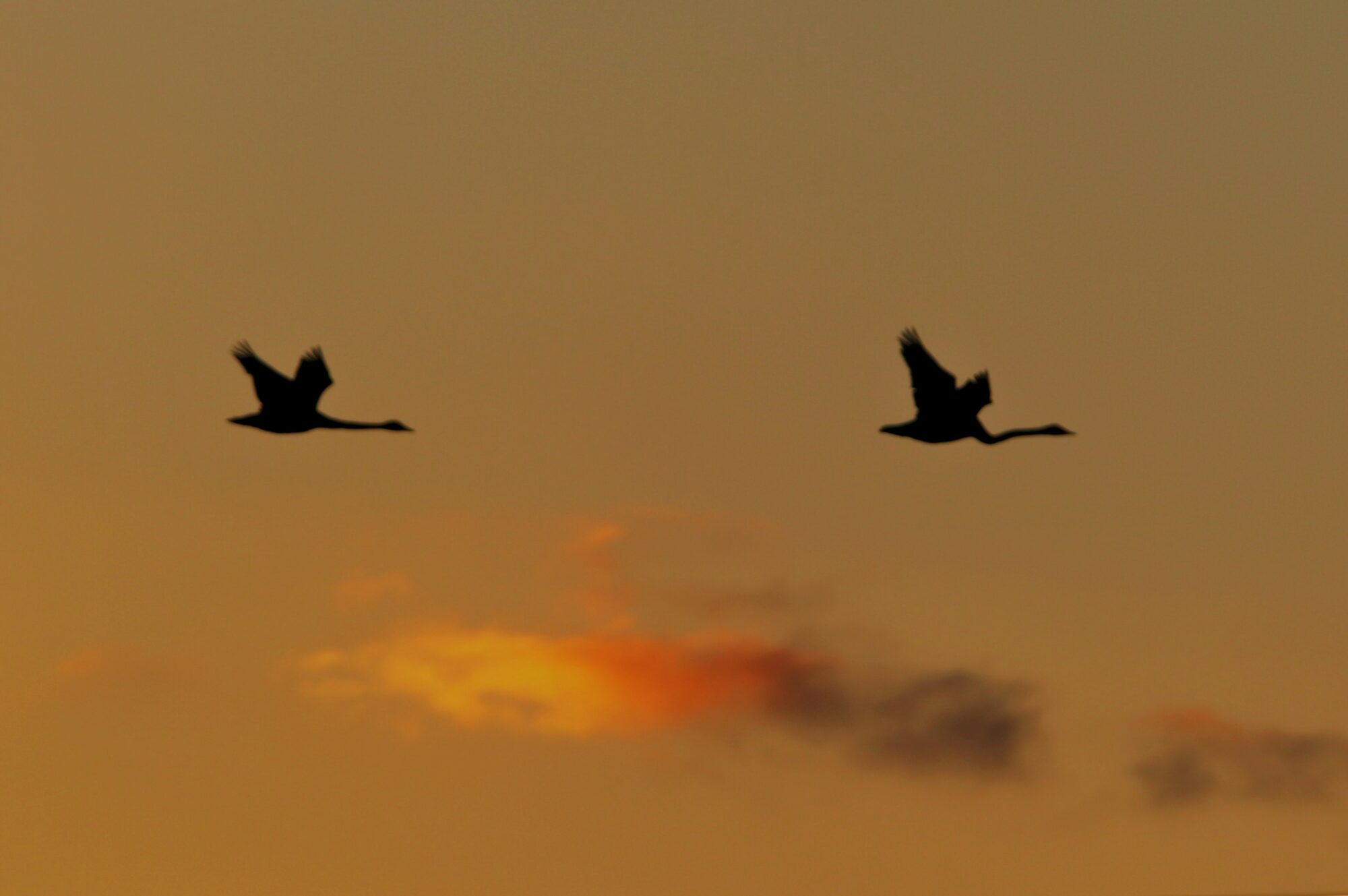 Valokuvaaja: Irja Lehtinen