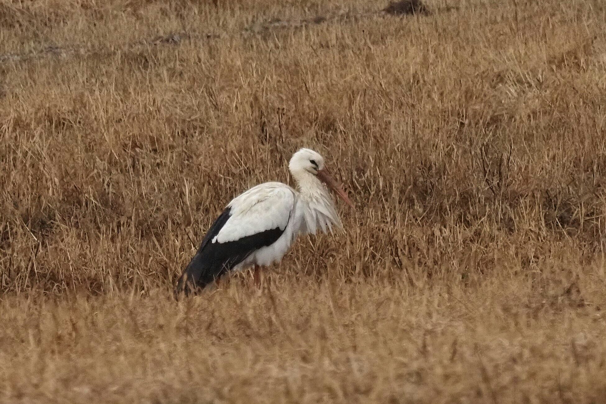 Valokuvaaja: Mikkola Irma