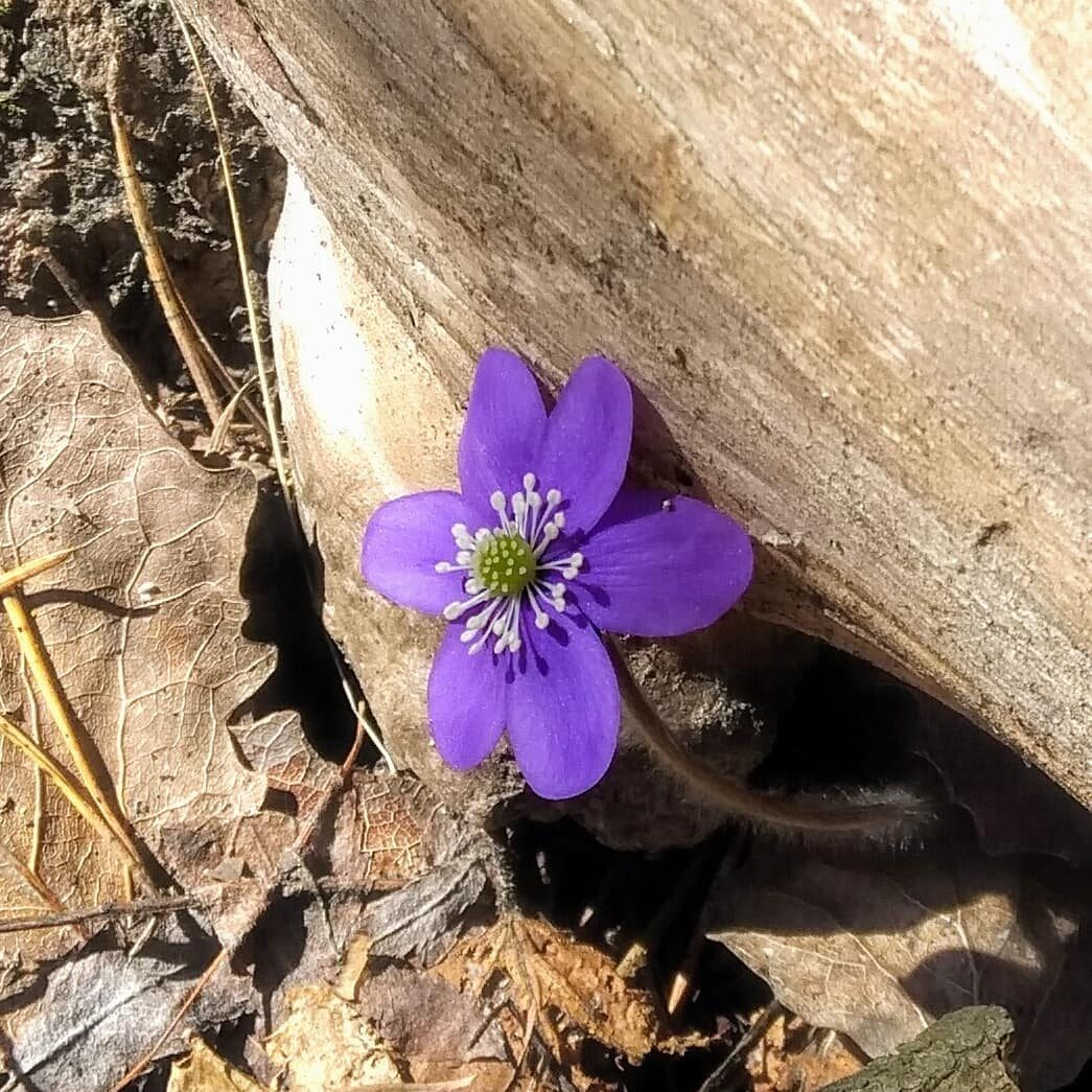 Valokuvaaja: Olli Karppijärvi