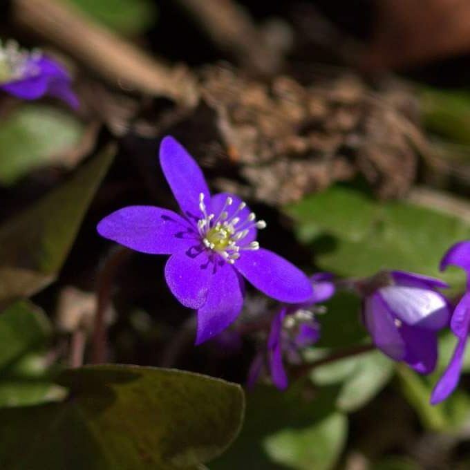 Valokuvaaja: Tapio Keinonen