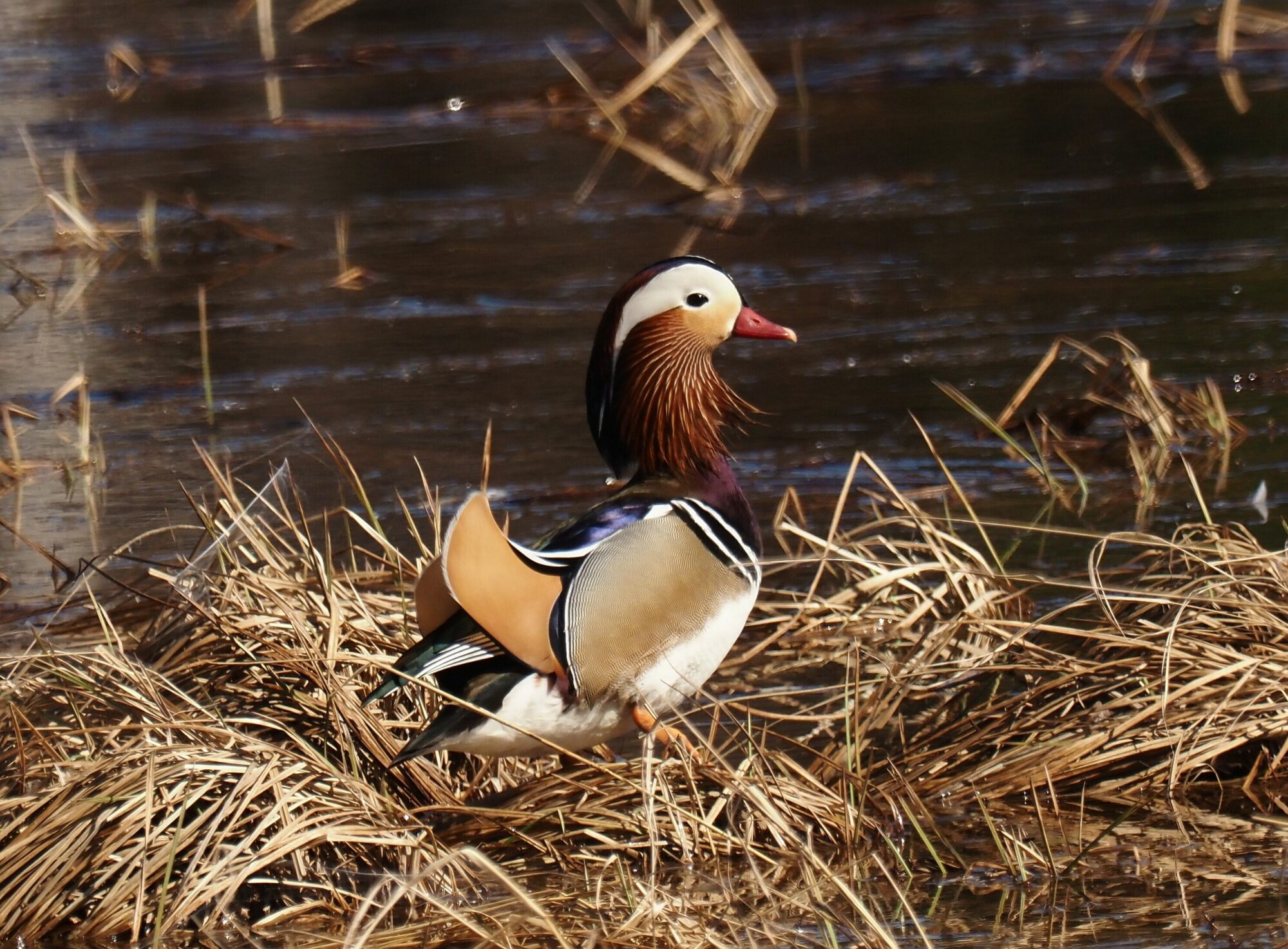 Valokuvaaja: Mikkola Irma