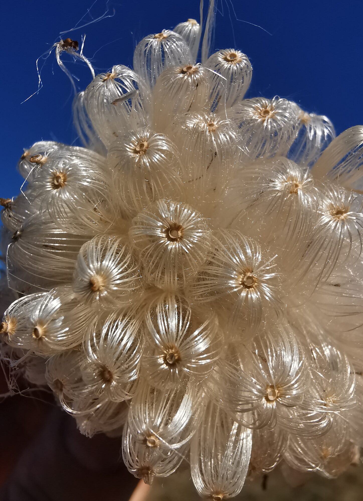 Valokuvaaja: Satu Kuningas