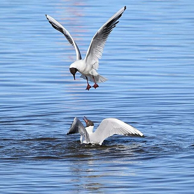 Valokuvaaja: Riitta Marjamäki