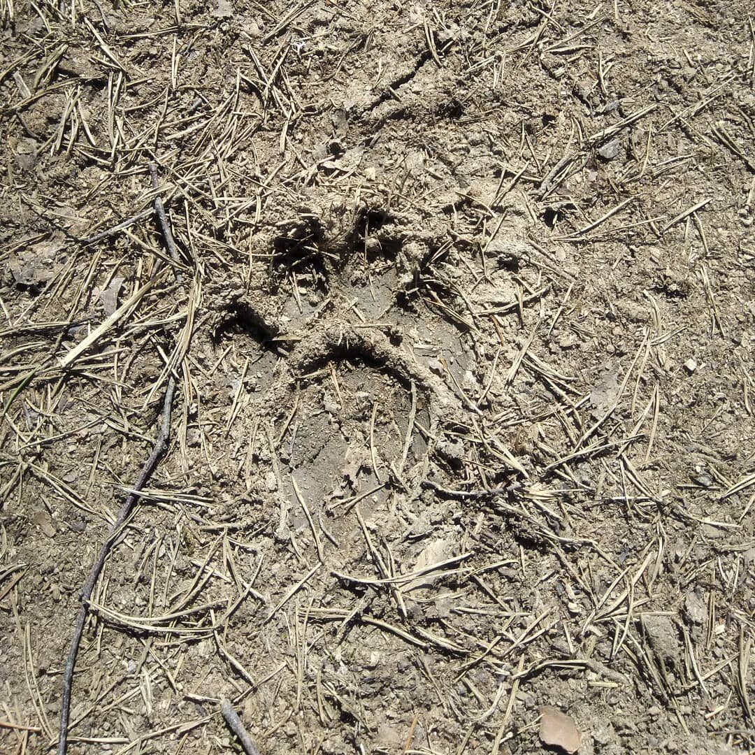 Valokuvaaja: Olli Karppijärvi